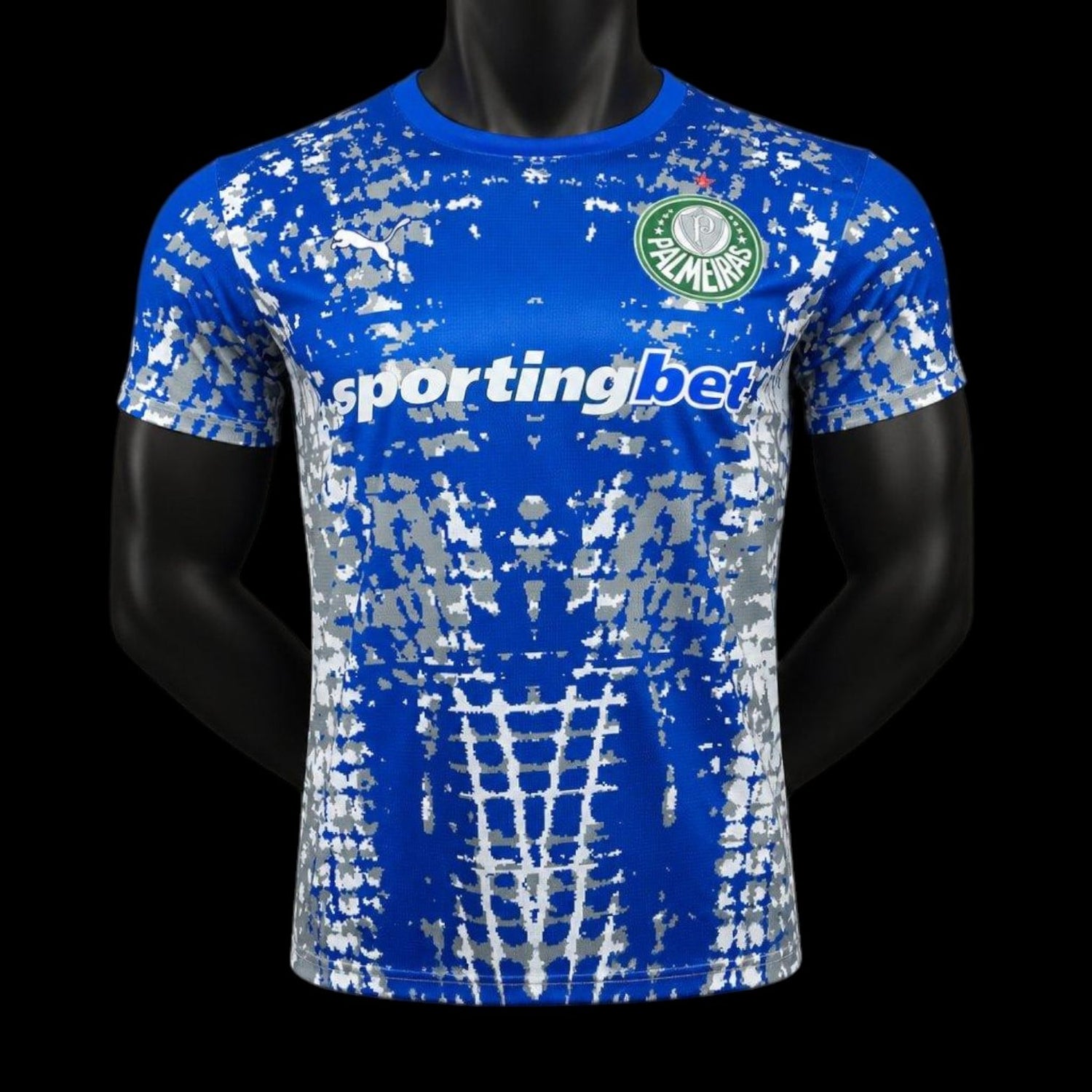 Palmeiras Maillot Gardien 25/26 - Version Player