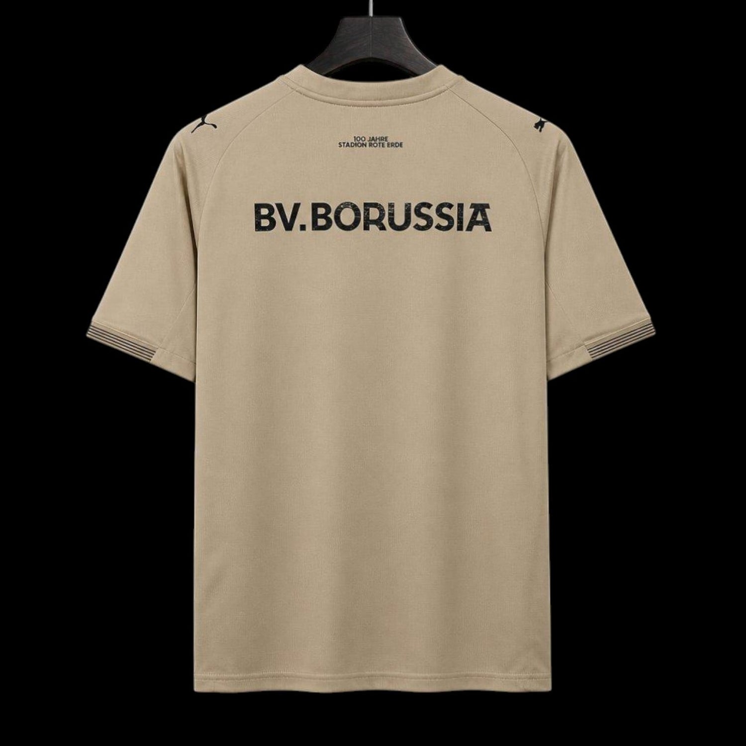 Dortmund Maillot Gardien 26/27