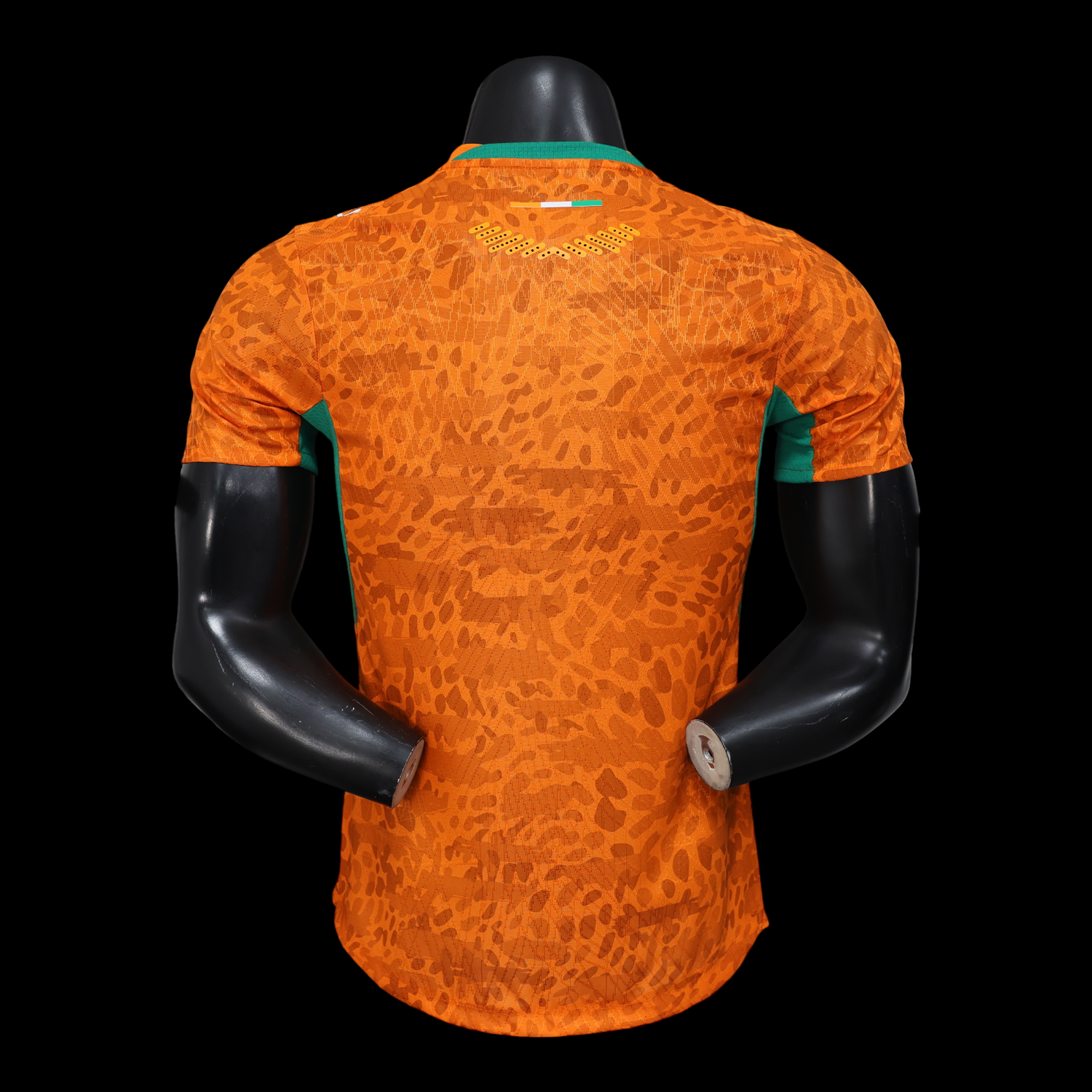 Cote d'Ivoire Maillot Domicile 26/27 - Version Player