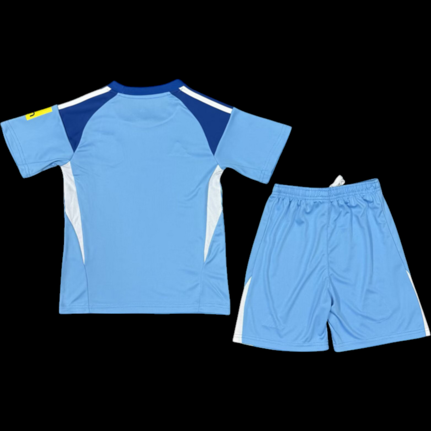 Newcastle Maillot Gardien 25/26 - Enfant