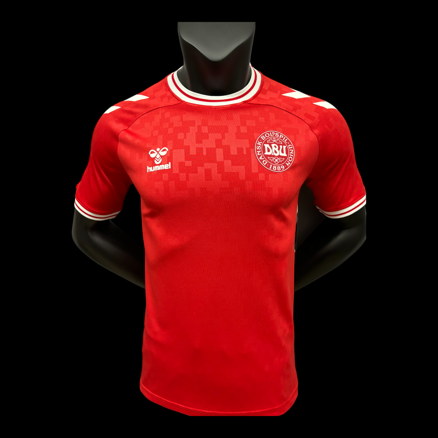 Danemark Maillot Domicile 24/25 - Version Player