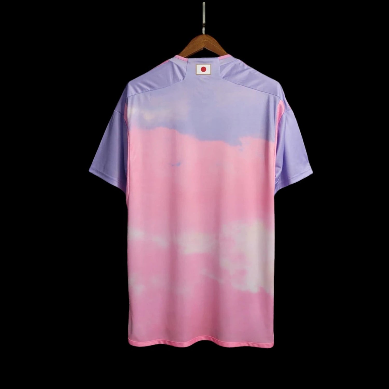 Japon Maillot Domicile 23/24