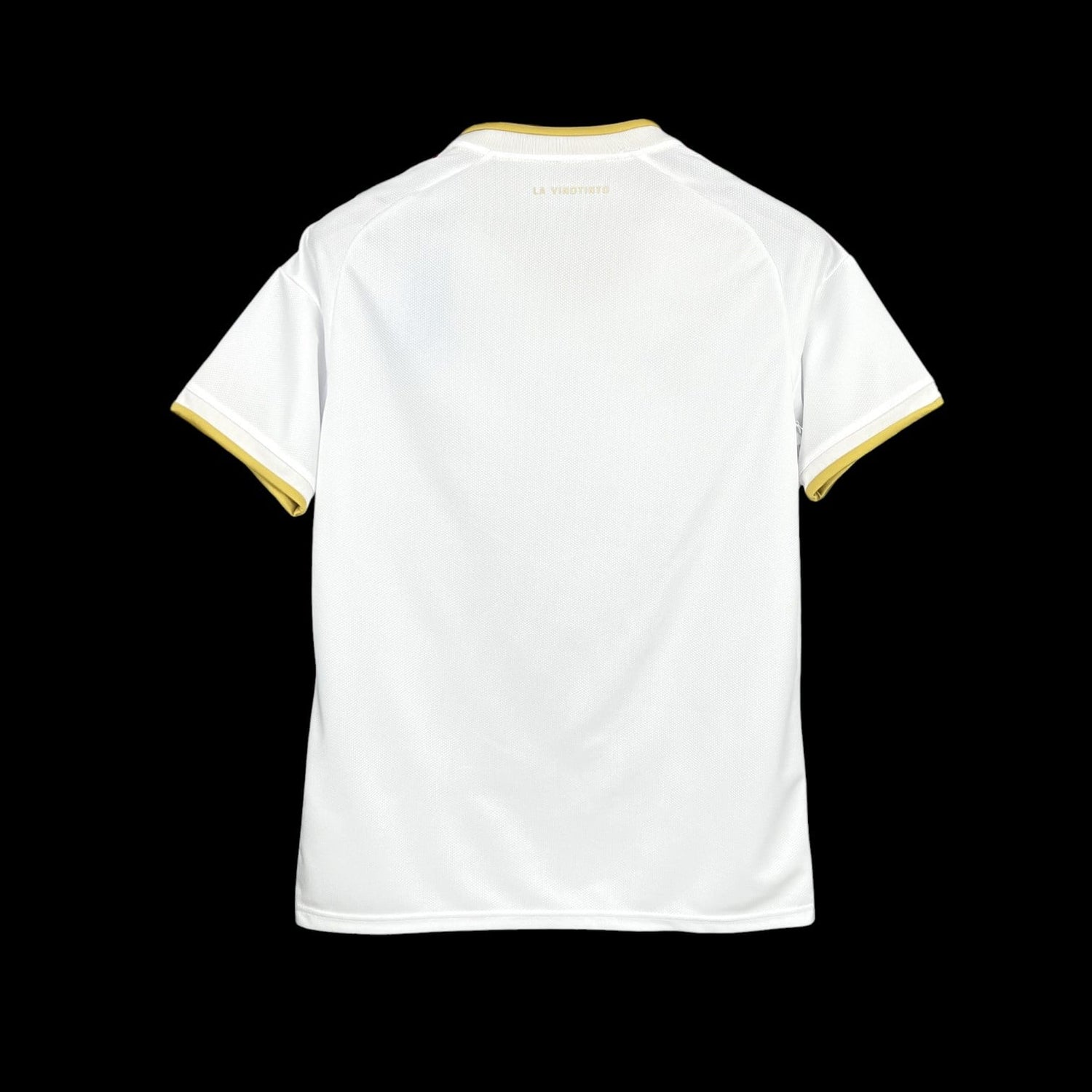 Venezuela Maillot Extérieur 26/27