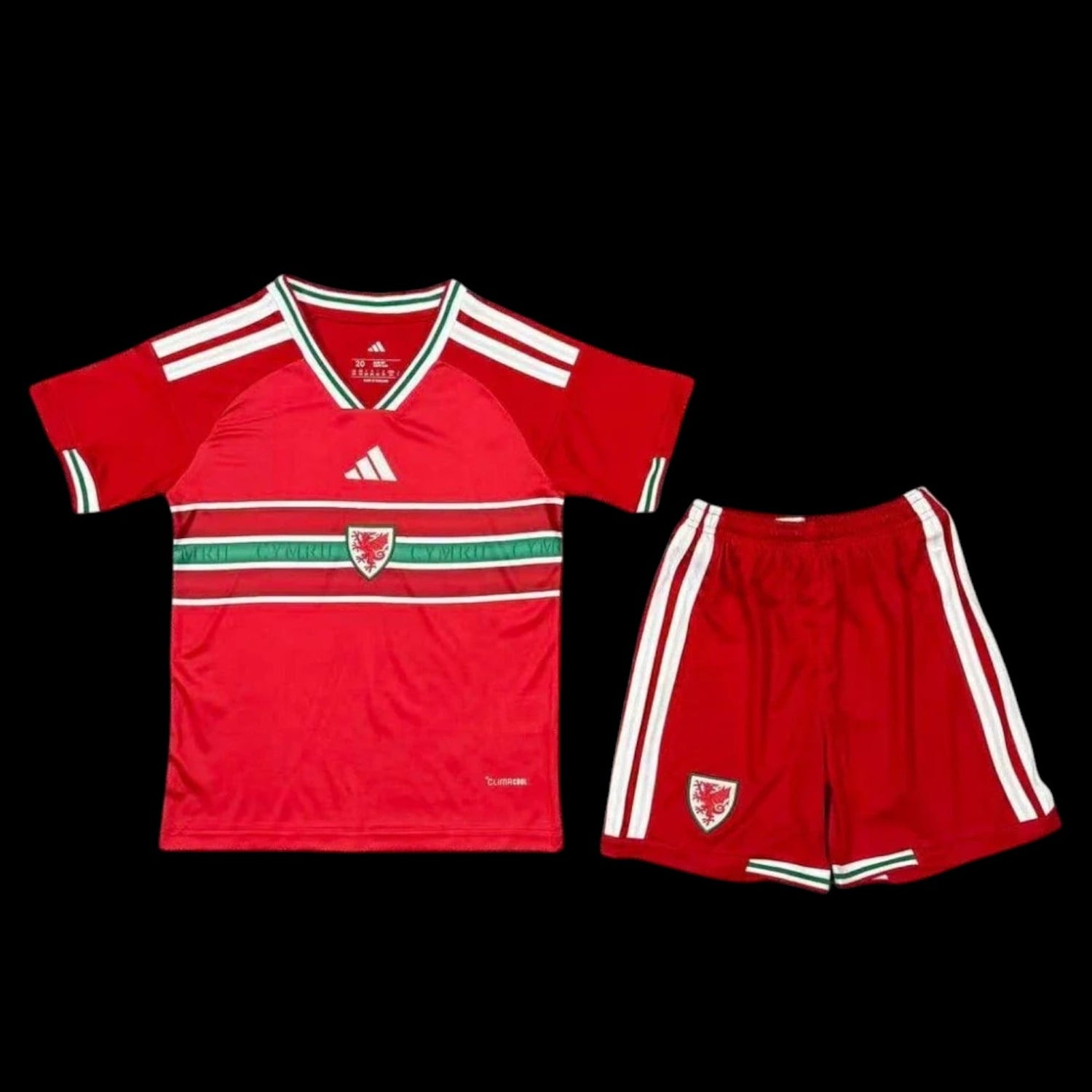 Pays de Galles Maillot Domicile 26/27 - Enfant