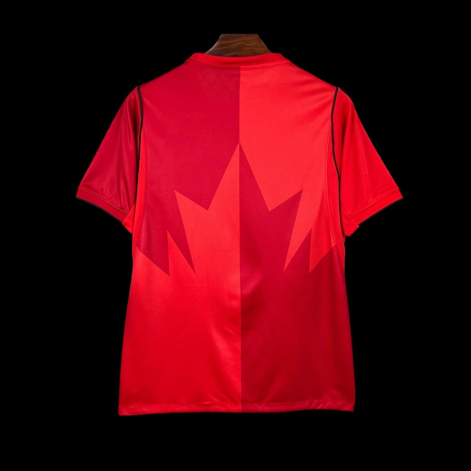Canada Maillot Domicile 26/27