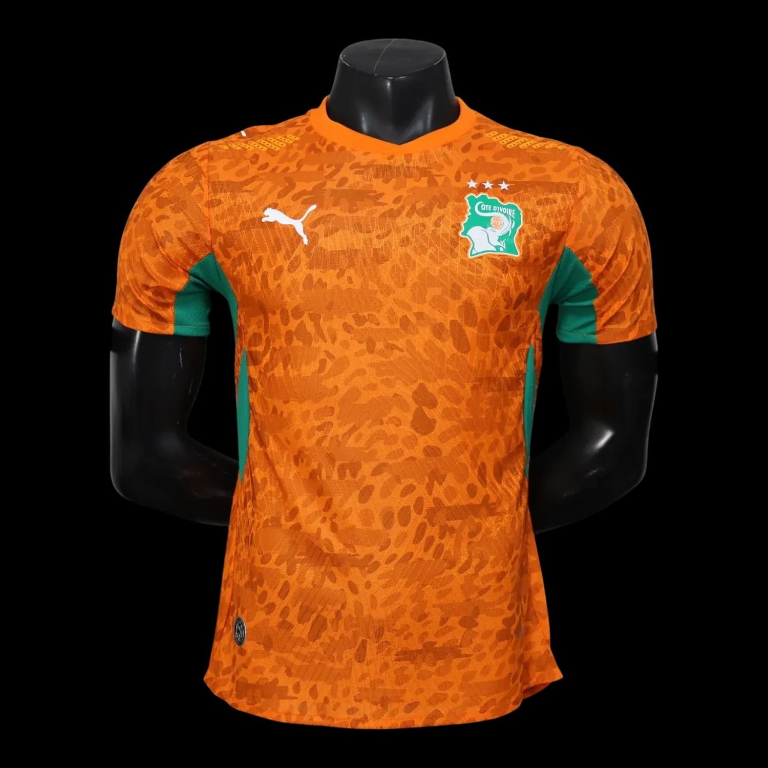 Cote d'Ivoire Maillot Domicile 26/27 - Version Player