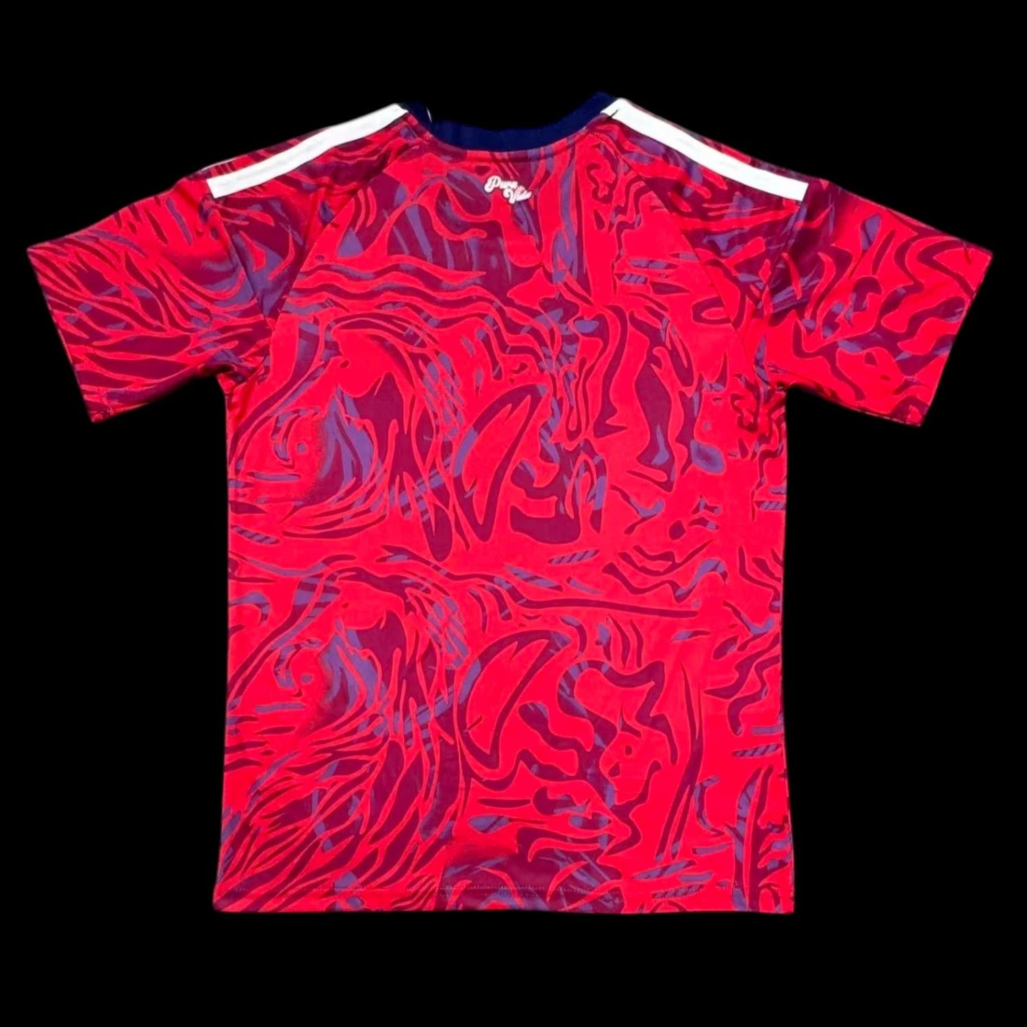Costa Rica Maillot Domicile 26/27