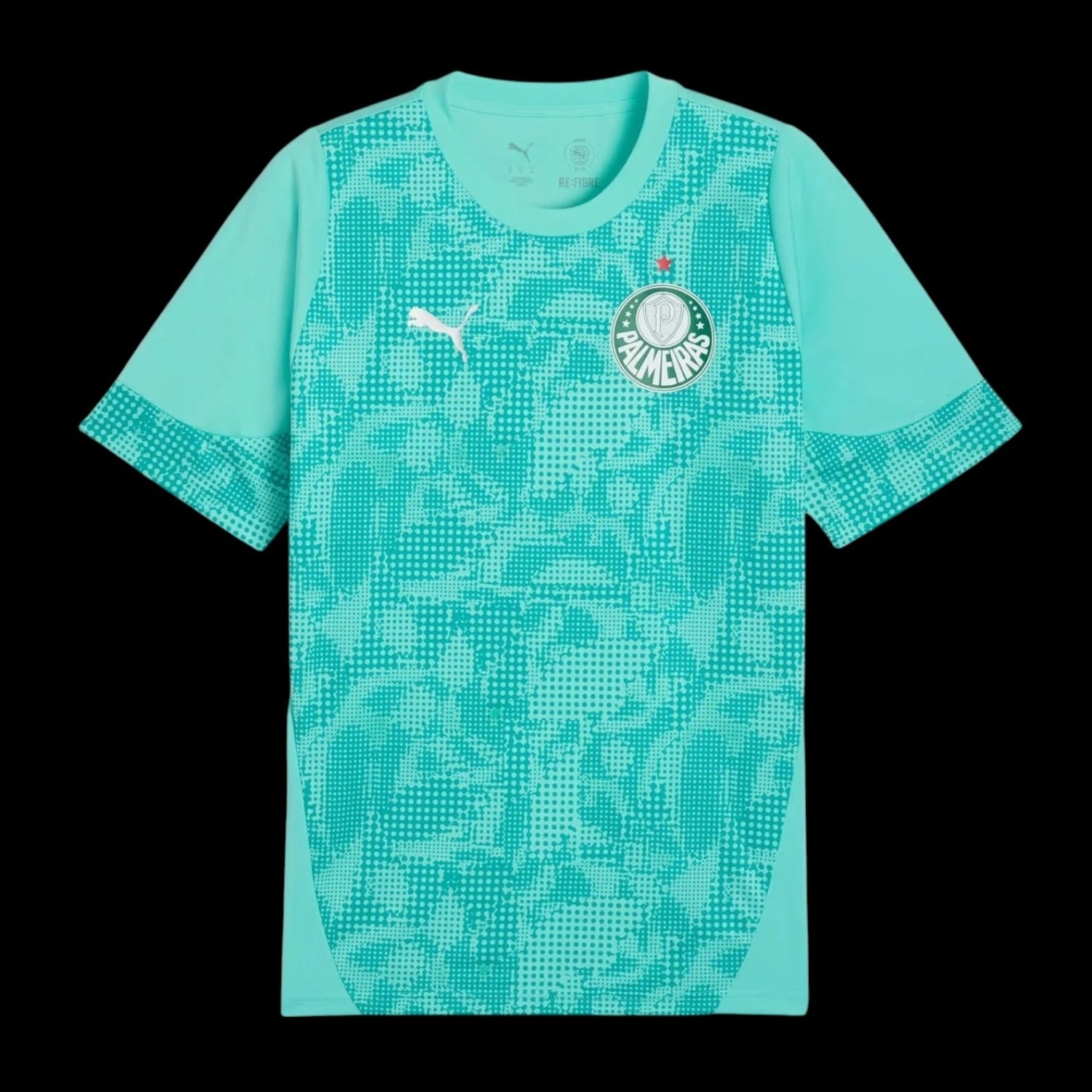 Palmeiras Maillot Gardien 26/27